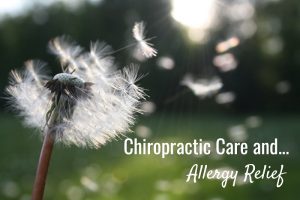 Chiropractic Care and Allergies
